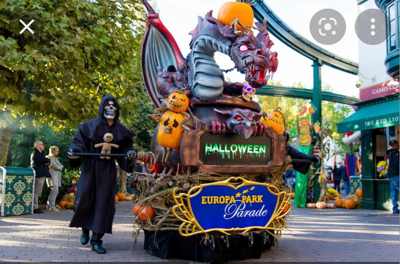 Location Mh Situee A 15 Mn D Europa Park Et Rulantika Apartment Boofzheim Luaran gambar