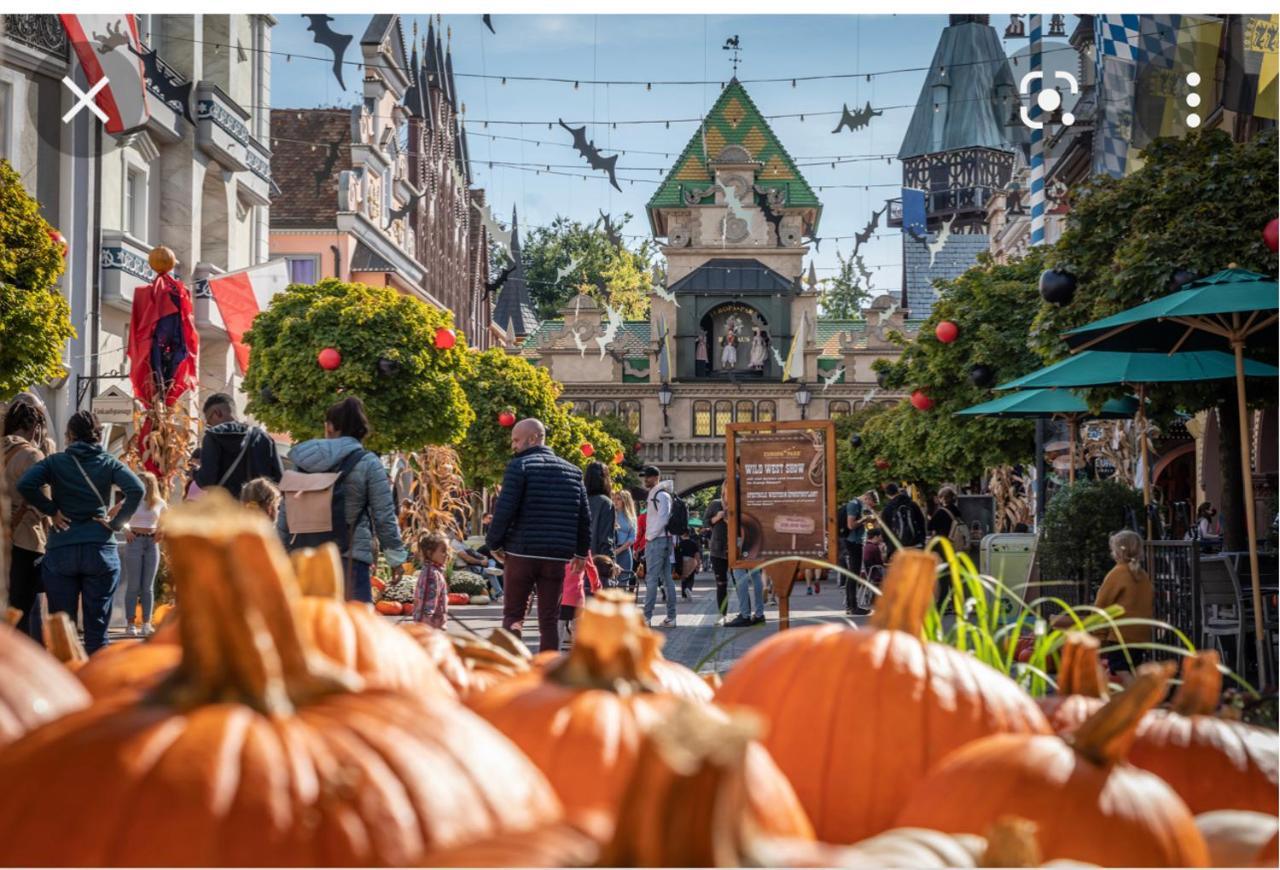 Location Mh Situee A 15 Mn D Europa Park Et Rulantika Apartment Boofzheim Luaran gambar